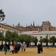 In the old town of Seville with its cathedral